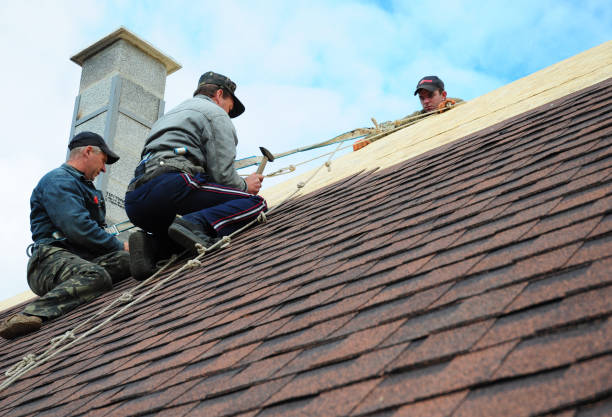 Trusted Pinedale, WY Roofing Contractor Experts